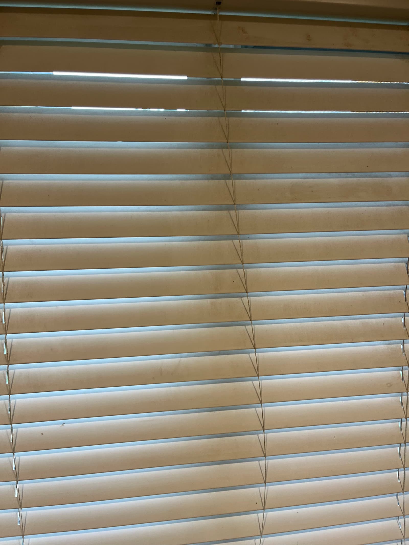 Before: Professional Blind Cleaning & Restoration