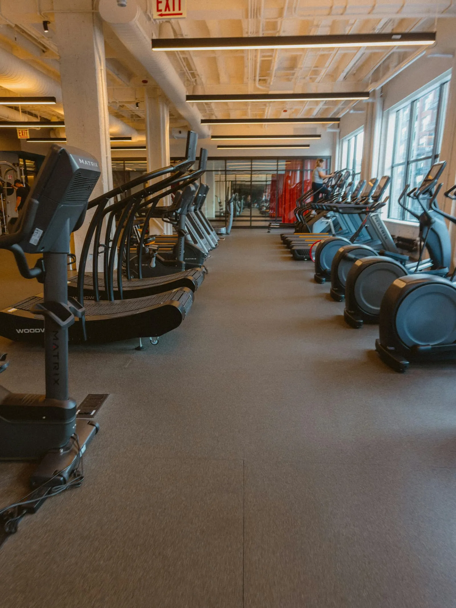 Row of cardio machines on a gym floor