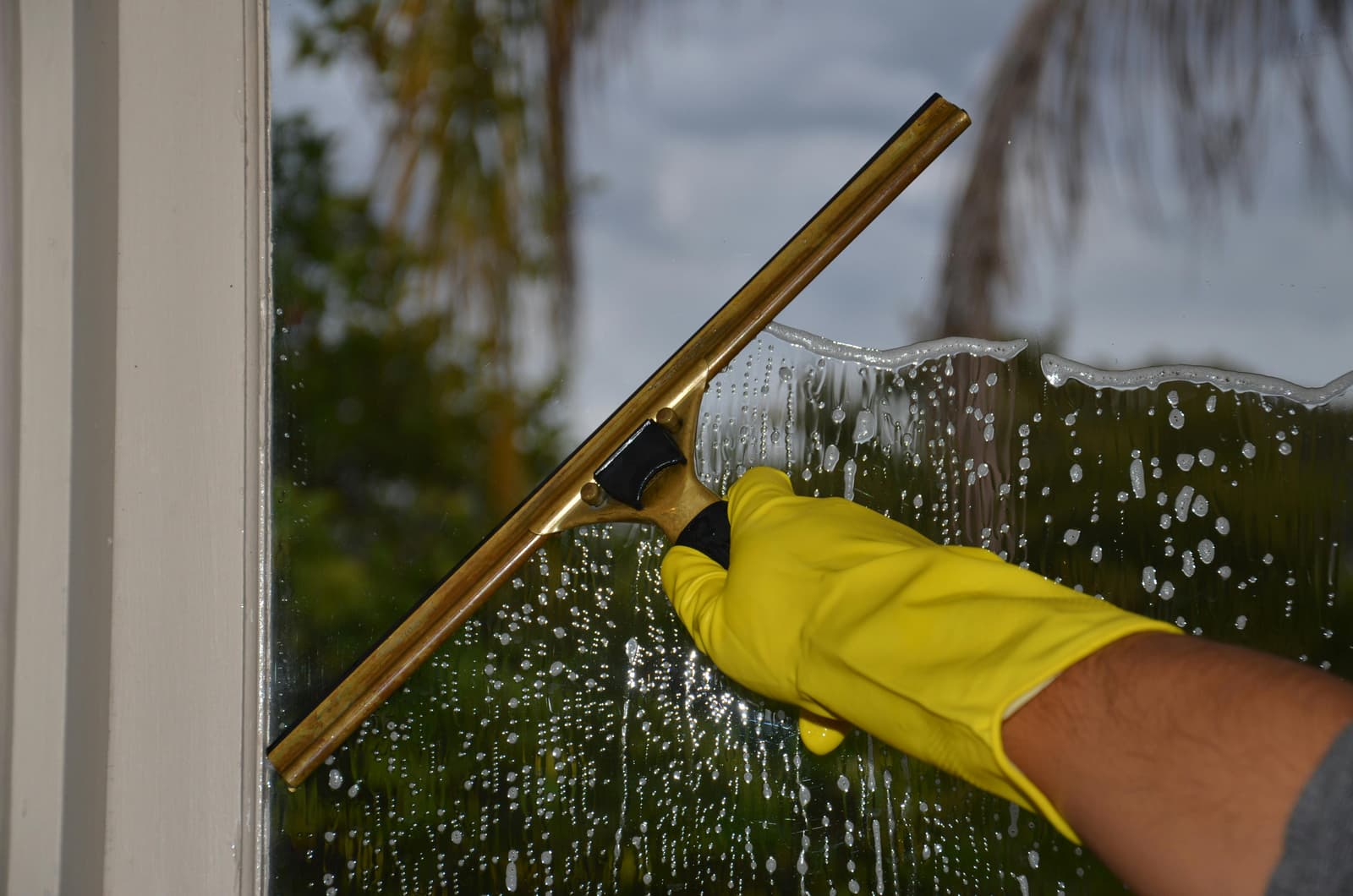 Commercial Window Cleaning